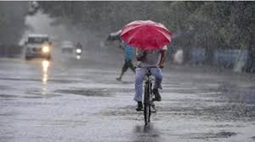 Kerala heavy rain 